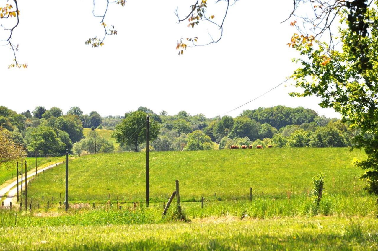 Domaine Du Castellare Bed and Breakfast Le Chalard Buitenkant foto